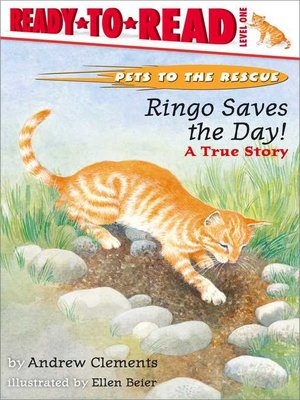 cover image of Ringo Saves the Day!